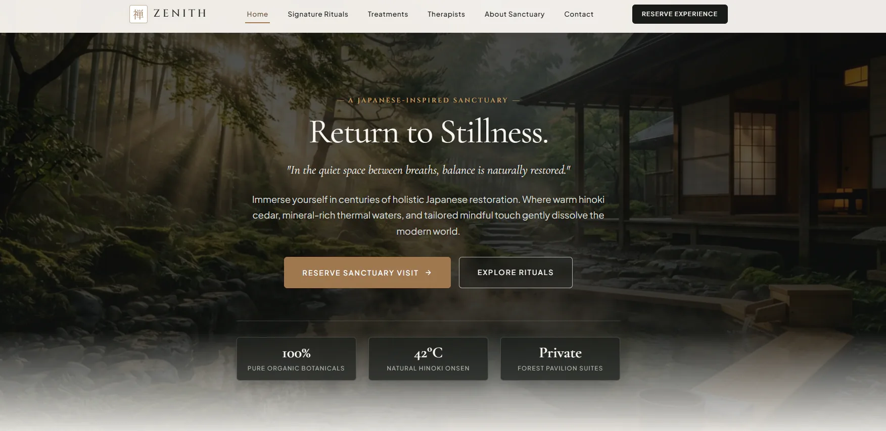 Zenith website concept by SiteCraft